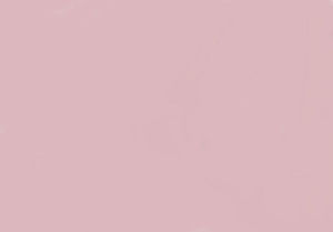 Meet your Posher, Ani